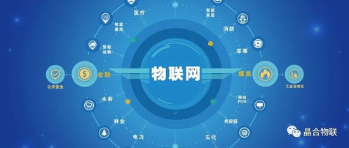 萬物互聯 21世紀互聯網信息服務的新紀元