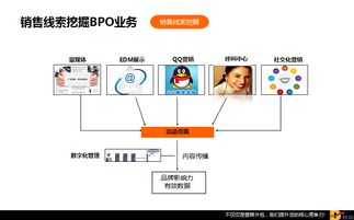 數(shù)贏云網(wǎng)絡(luò)科技 引領(lǐng)未來的網(wǎng)絡(luò)技術(shù)服務(wù)