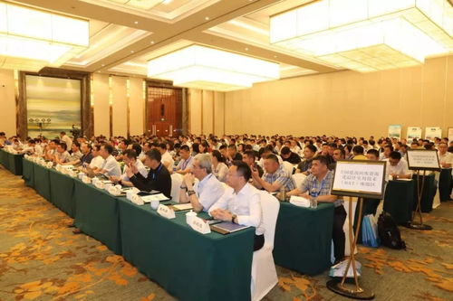 彩色透水混凝土與透水瀝青 海綿城市建設中的關鍵技術