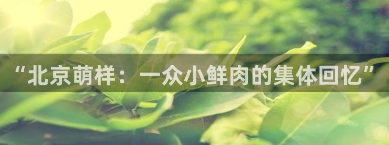 麥田電影在線播放：“北京萌樣：一眾小鮮肉的集體回憶”